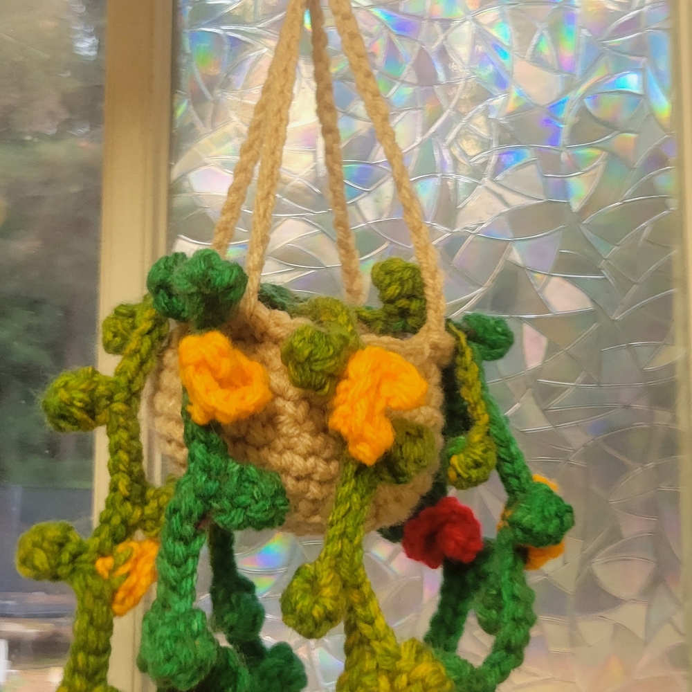 Crochet Hanging Planter with Green and Yellow Accents